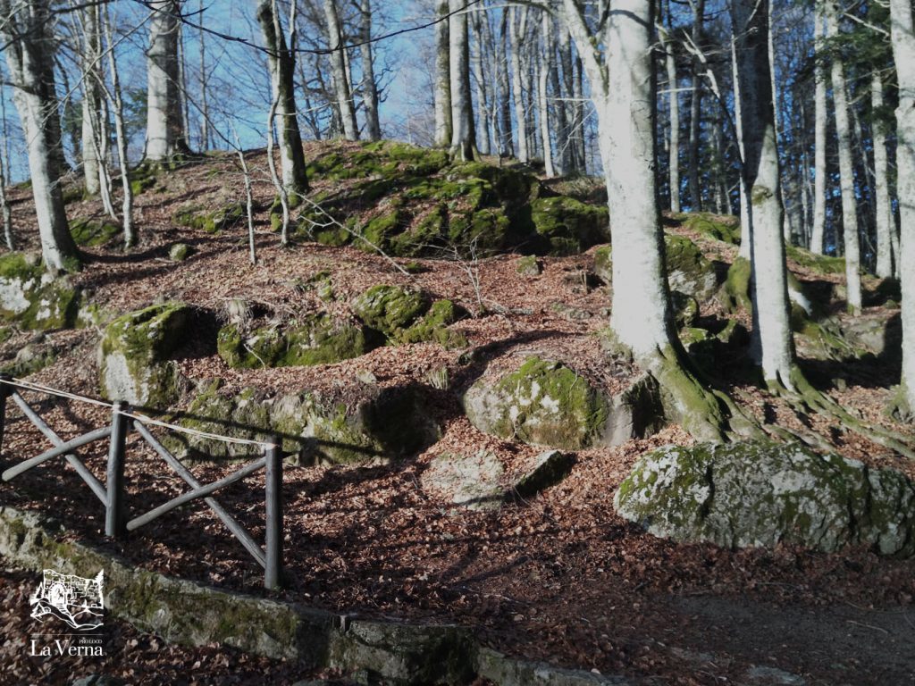 proloco la verna - la natura di chiusi della verna